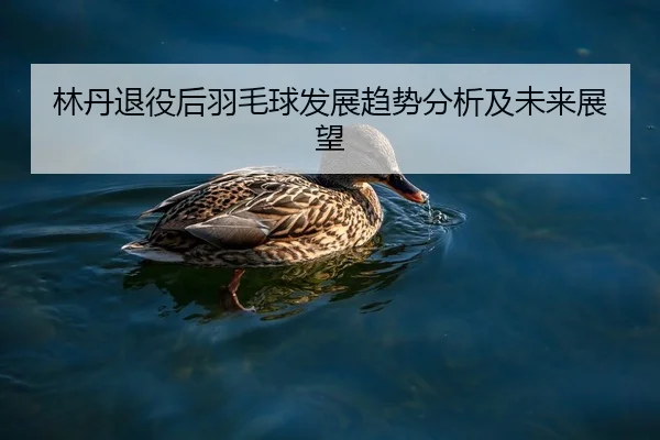 lin-dan-tui-yi-hou-yu-mao-qiu-fa-zhan-qu-shi-fen-xi-ji-wei-lai-zhan-wang-1-130.jpg